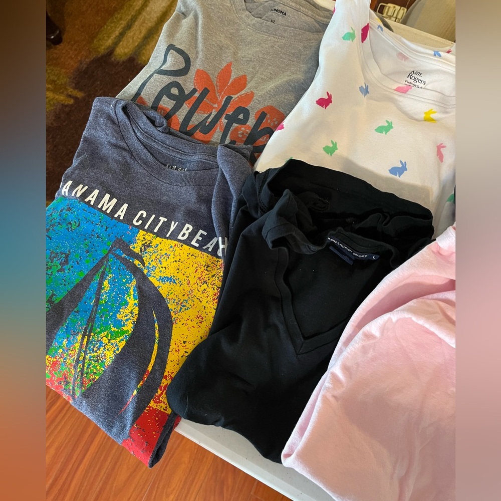 10 Assorted Shirts L/XL Bundle